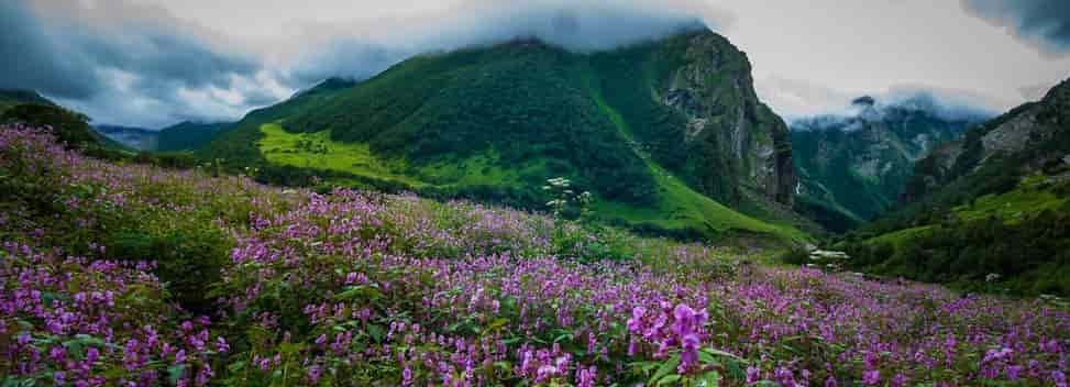 Valley of Flower Himalaan View