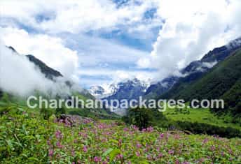 Char Dham with Valley of Flower 2024