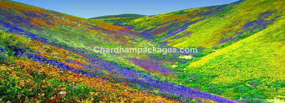 Chardham Valley of Flower